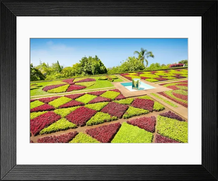 Framed Print : The Madeira Botanical Garden - Funchal, Madeira Island, Portugal Framed Print : The Madeira Botanical Garden - Funchal, Madeira Island, Portugal