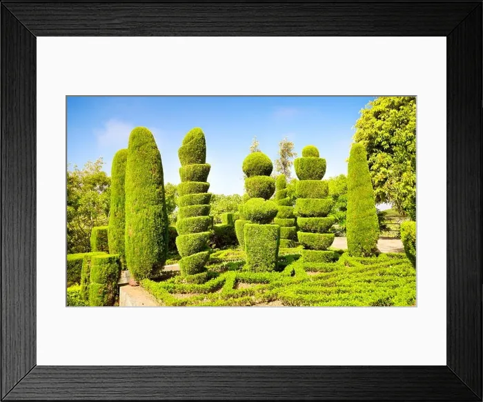 Framed Print : The Madeira Botanical Garden - Funchal, Madeira Island, Portugal Framed Print : The Madeira Botanical Garden - Funchal, Madeira Island, Portugal