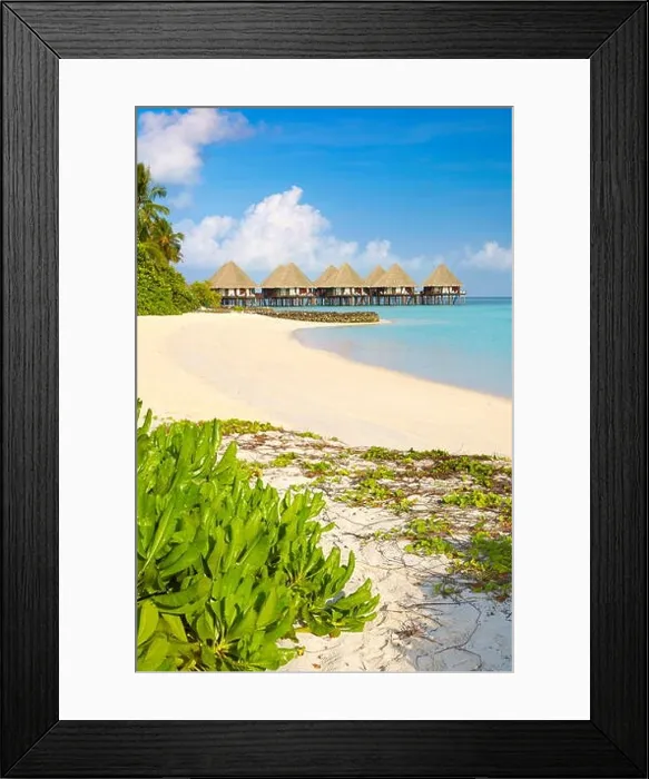 Framed Print : Tropical beach, Maldives Island, Ari Atoll Framed Print : Tropical beach, Maldives Island, Ari Atoll