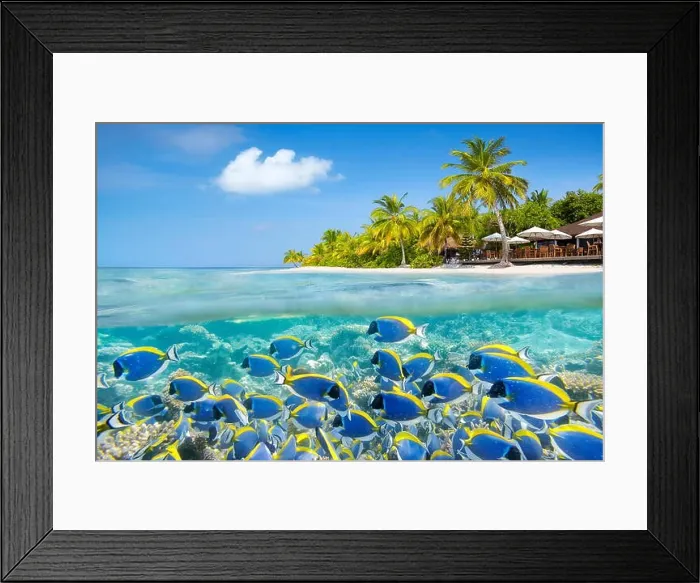 Framed Print : Maldives Island - underwater view with shoal of fish and reef Framed Print : Maldives Island - underwater view with shoal of fish and reef