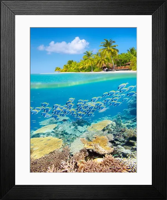 Framed Print : Maldives Island - tropical underwater view with reef Framed Print : Maldives Island - tropical underwater view with reef