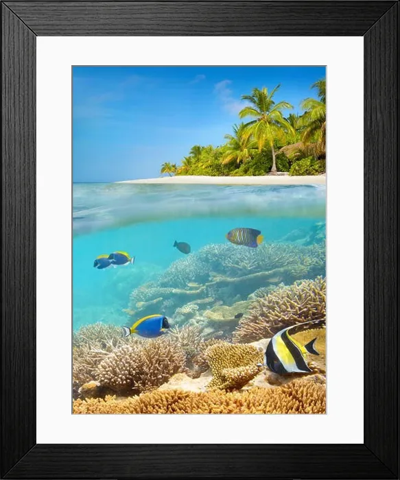 Framed Print : Tropical beach at Maldives Island Framed Print : Tropical beach at Maldives Island