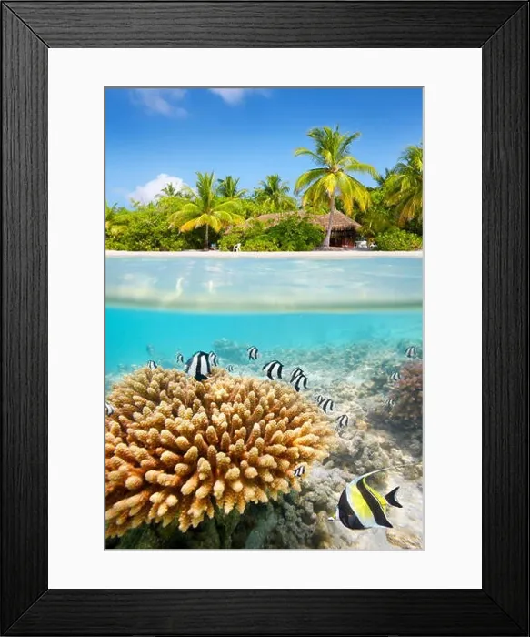 Framed Print : Tropical beach and underwater view with reef and fish, Maldives Island Framed Print : Tropical beach and underwater view with reef and fish, Maldives Island
