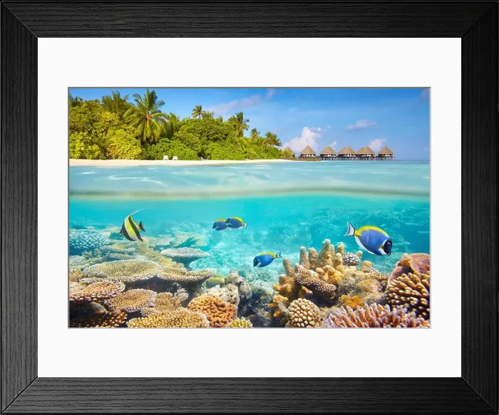 Framed Print : Tropical underwater view with reef and fish, Maldives Island Framed Print : Tropical underwater view with reef and fish, Maldives Island