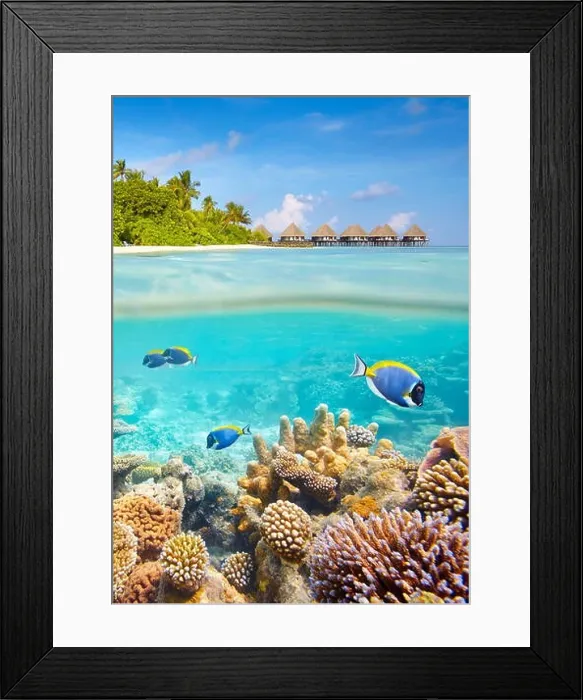 Framed Print : Underwater view with reef and fish, Maldives Islands Framed Print : Underwater view with reef and fish, Maldives Islands