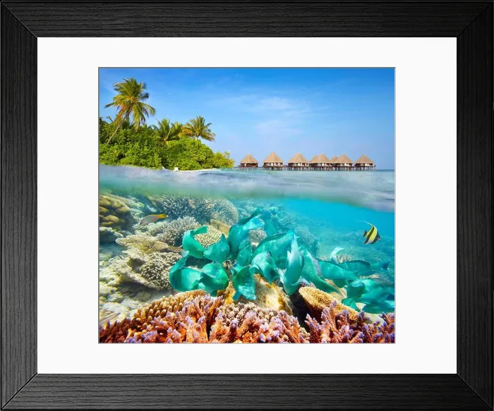 Framed Print : Underwater scenery at Maldives Island Framed Print : Underwater scenery at Maldives Island