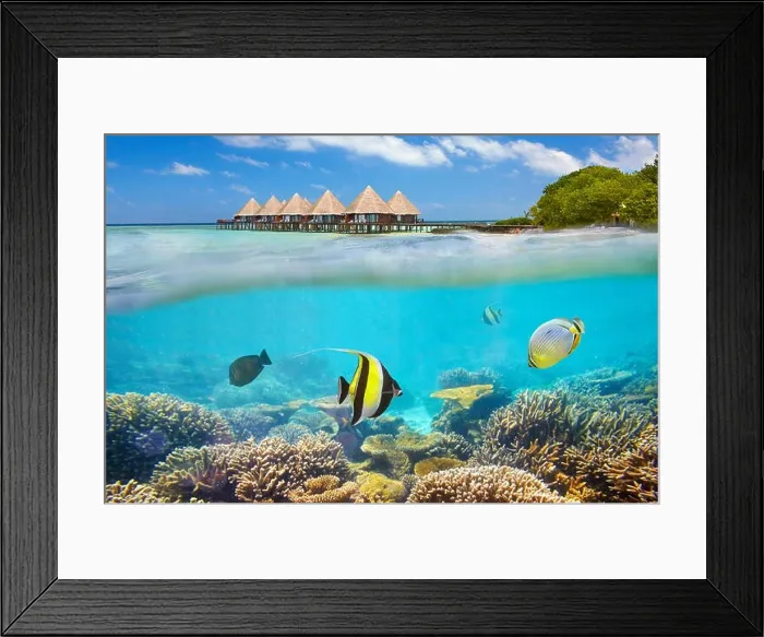 Framed Print : Maldives Island - underwater view with fish Framed Print : Maldives Island - underwater view with fish