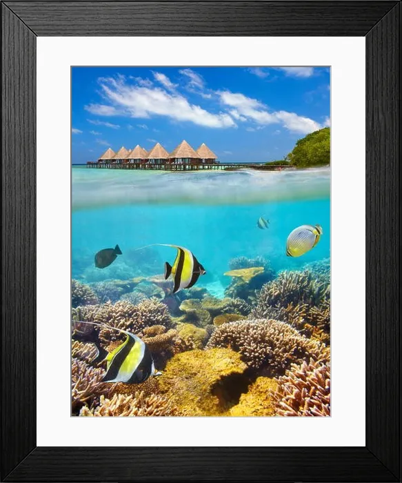 Framed Print : Tropical scenery at Maldives Islands, Ari Atoll Framed Print : Tropical scenery at Maldives Islands, Ari Atoll