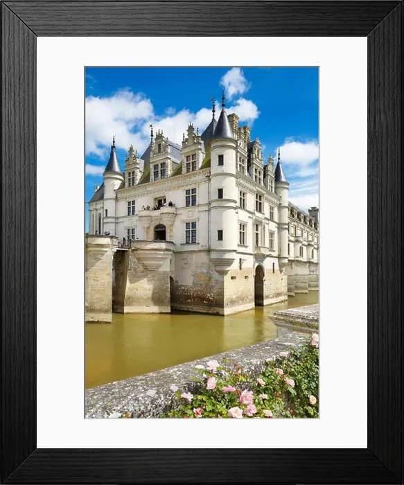 Framed Print : Chenonceau Castle, Chenonceaux, Loire Valley, France Framed Print : Chenonceau Castle, Chenonceaux, Loire Valley, France