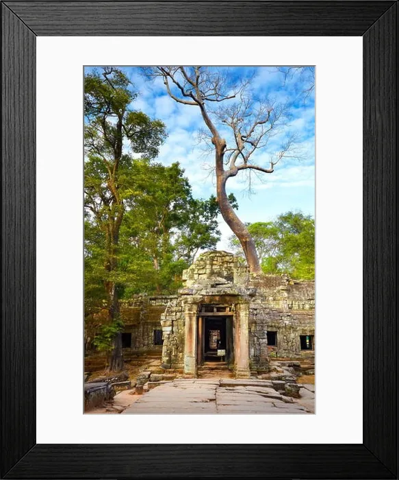 Framed Print : Ruins of Ta Prohm Temple, Angkor, Cambodia, Asia Framed Print : Ruins of Ta Prohm Temple, Angkor, Cambodia, Asia