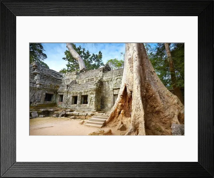 Framed Print : Ta Prohm Temple, Angkor, Cambodia, Asia Framed Print : Ta Prohm Temple, Angkor, Cambodia, Asia