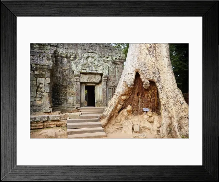 Framed Print : Ta Prohm Temple, Angkor, Cambodia, Asia Framed Print : Ta Prohm Temple, Angkor, Cambodia, Asia