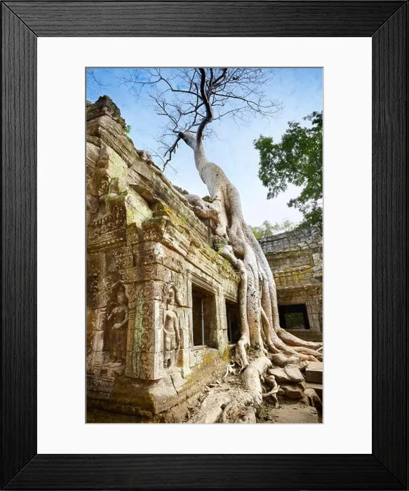 Framed Print : Ruins of Ta Prohm Temple, Angkor, Cambodia, Asia Framed Print : Ruins of Ta Prohm Temple, Angkor, Cambodia, Asia