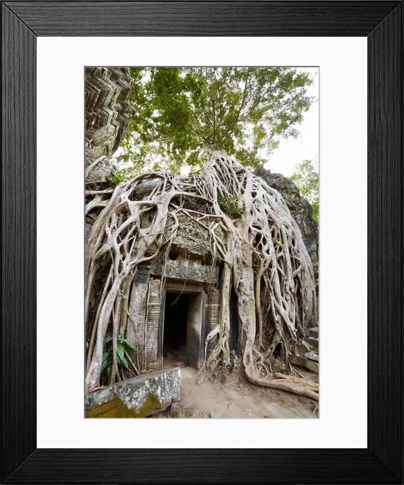 Framed Print : Ta Prohm Temple, Angkor, Cambodia, Asia Framed Print : Ta Prohm Temple, Angkor, Cambodia, Asia