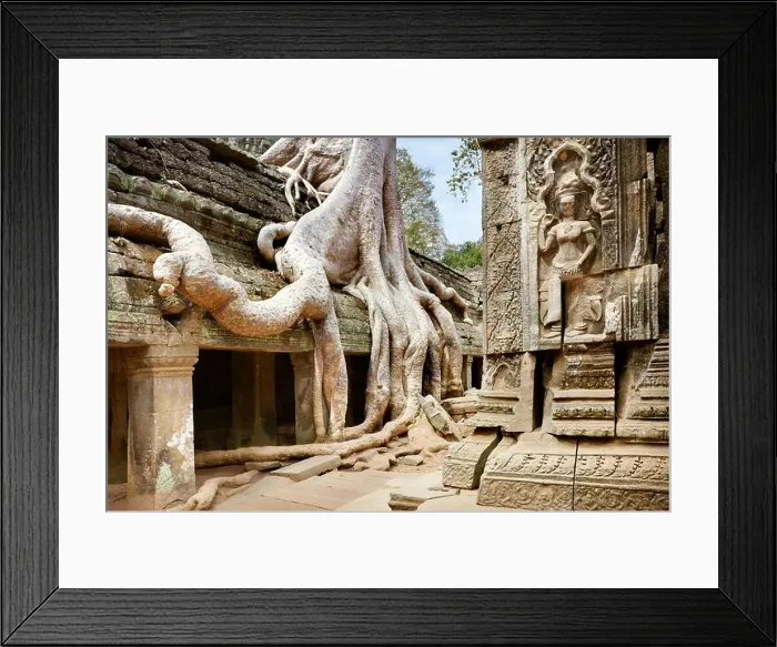 Framed Print : Ta Prohm Temple, Angkor, Cambodia, Asia Framed Print : Ta Prohm Temple, Angkor, Cambodia, Asia