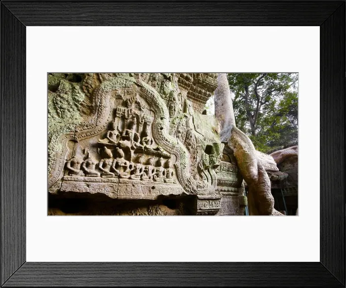 Framed Print : Ta Prohm Temple, Angkor, Cambodia, Asia Framed Print : Ta Prohm Temple, Angkor, Cambodia, Asia