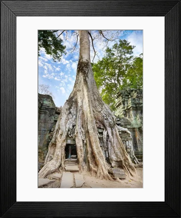 Framed Print : Roots of a giant tree overgrowing ruins of Ta Prohm Temple, Angkor, Cambodia, Asia
