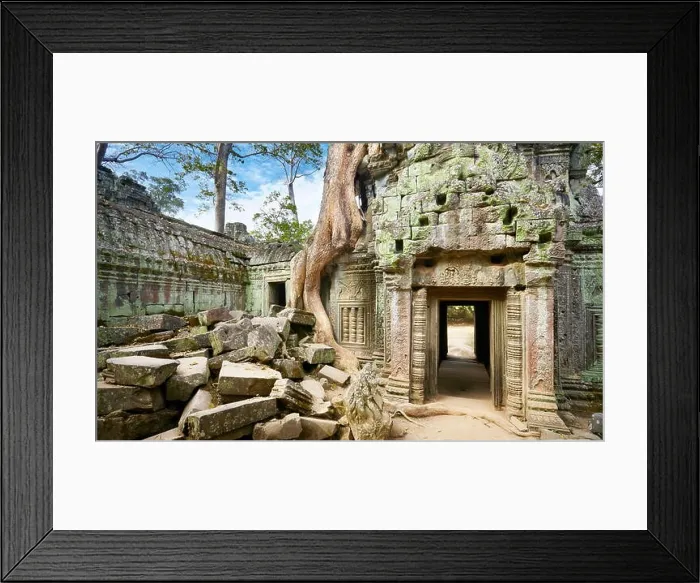 Framed Print : Ruins of Ta Prohm Temple, Angkor, Cambodia, Asia Framed Print : Ruins of Ta Prohm Temple, Angkor, Cambodia, Asia