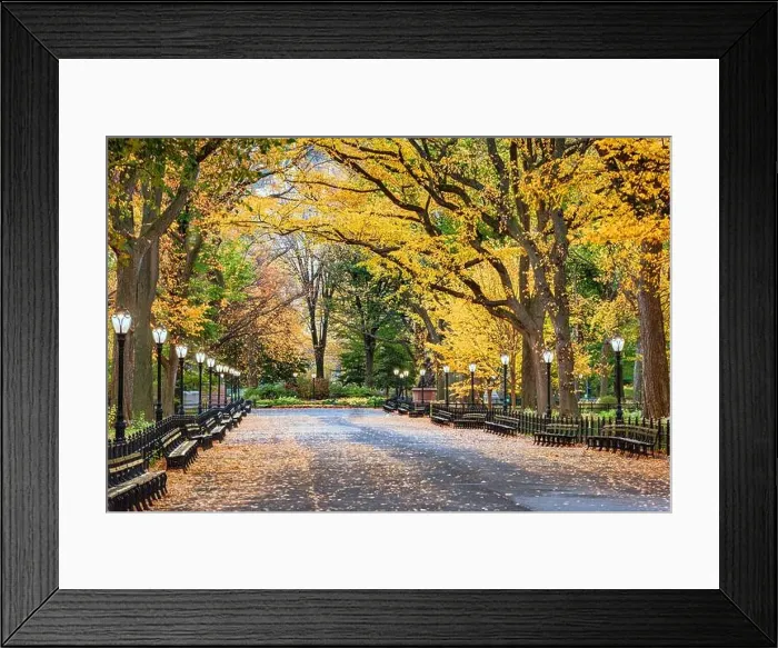 Framed Print : Central Park at The Mall in New York City during an autumn dawn Framed Print : Central Park at The Mall in New York City during an autumn dawn