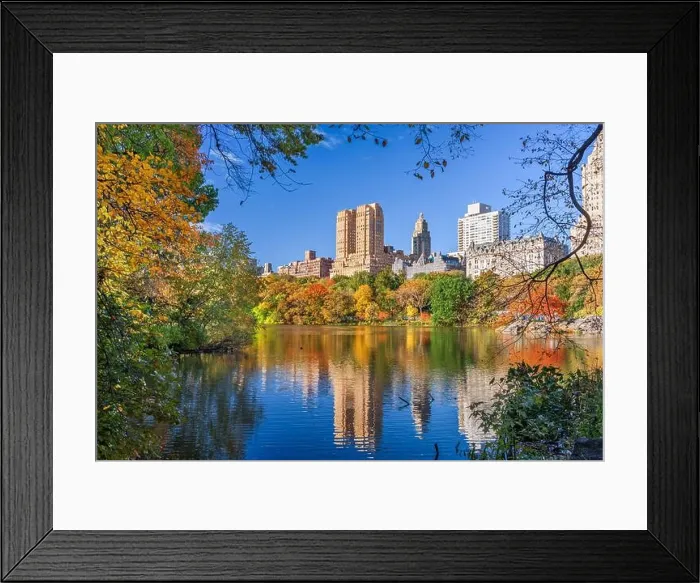 Framed Print : Central Park during autumn in New York City Framed Print : Central Park during autumn in New York City