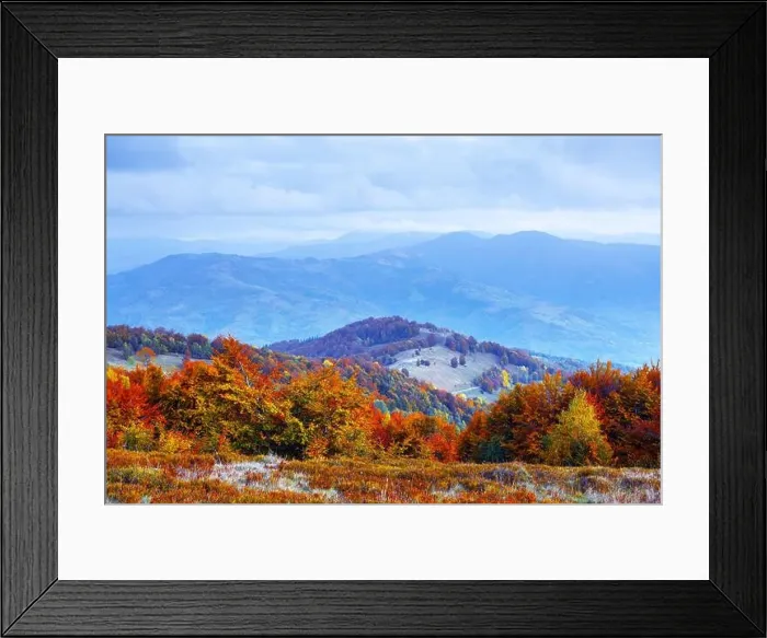 Framed Print : Autumn mountains with orange forest and blue hills. Landscape photography Framed Print : Autumn mountains with orange forest and blue hills. Landscape photography