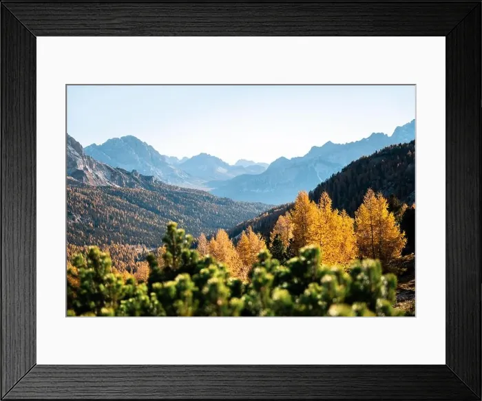 Framed Print : Incredible autumn view at Italian Dolomite Alps. Orange larches forest and foggy mountains peaks on background. Dolomites, Italy Framed Print : Incredible autumn view at Italian Dolomite Alps. Orange larches forest and foggy mountains peaks on background. Dolomites, Italy