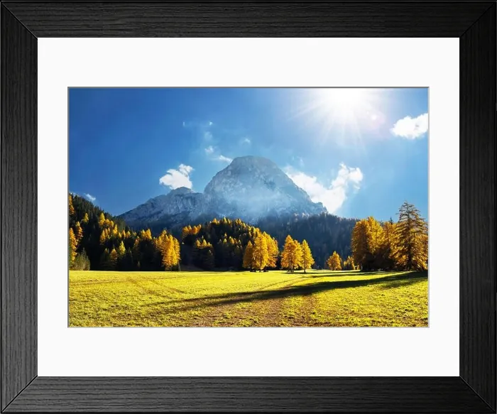 Framed Print : Incredible autumn view at Italian Dolomite Alps. Orange larches forest and foggy mountains peaks on background. Dolomites, Italy Framed Print : Incredible autumn view at Italian Dolomite Alps. Orange larches forest and foggy mountains peaks on background. Dolomites, Italy