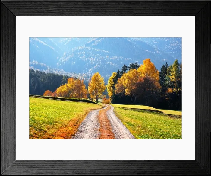 Framed Print : Incredible autumn view at Italian Dolomite Alps. Orange larches forest and foggy blue mountains on background. Dolomites, Italy. Landscape photography Framed Print : Incredible autumn view at Italian Dolomite Alps. Orange larches forest and foggy blue mountains on background. Dolomites, Italy. Landscape photography