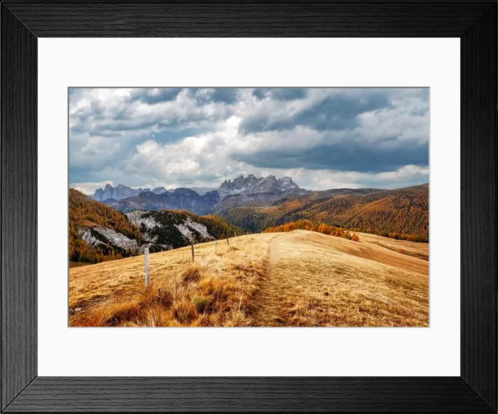 Framed Print : Incredible autumn view at Valfreda valley in Italian Dolomite Alps. Yellow grass, orange larches forest and snowy mountains peaks on background Framed Print : Incredible autumn view at Valfreda valley in Italian Dolomite Alps. Yellow grass, orange larches forest and snowy mountains peaks on background