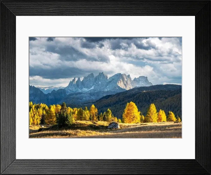 Framed Print : Incredible autumn view at Valfreda valley in Italian Dolomite Alps. Yellow and orange larches forest and snowy mountains peaks on background Framed Print : Incredible autumn view at Valfreda valley in Italian Dolomite Alps. Yellow and orange larches forest and snowy mountains peaks on background