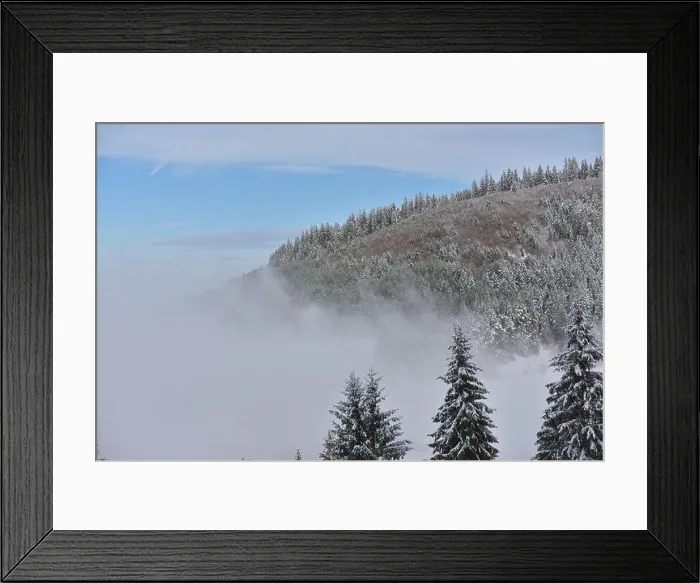 Framed Print : Fir trees full of snow on cold winter in mountain landscape Framed Print : Fir trees full of snow on cold winter in mountain landscape