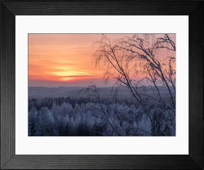 Framed Print : Scenic view with beautiful sunset and frosty tree at winter evening in Finland Framed Print : Scenic view with beautiful sunset and frosty tree at winter evening in Finland