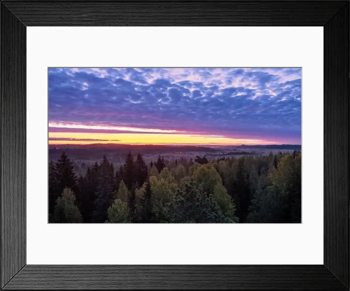 Framed Print : Scenic colorful sunrise view with wetland landscape against pink sky at autumn morning in Torronsuo, Finland