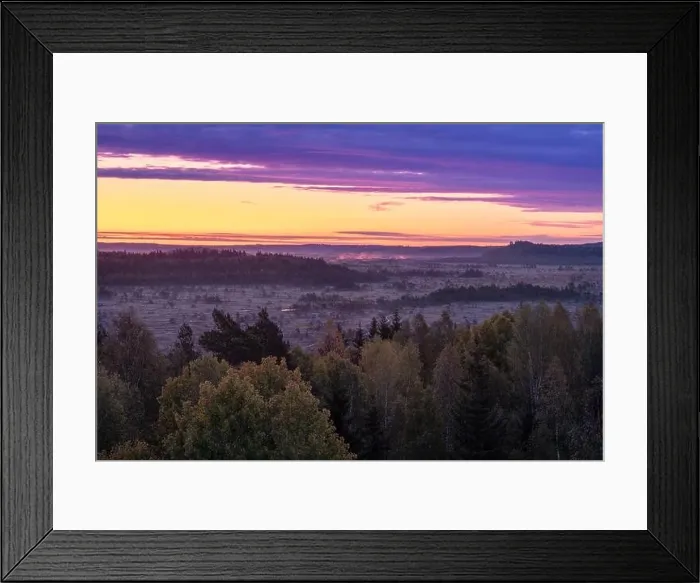 Framed Print : Scenic colorful sunrise view with wetland landscape against pink sky at autumn morning in Torronsuo, Finland Framed Print : Scenic colorful sunrise view with wetland landscape against pink sky at autumn morning in Torronsuo, Finland
