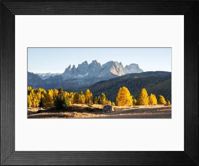 Framed Print : Incredible autumn view at Valfreda valley in Italian Dolomite Alps. Yellow and orange larches forest and snowy mountains peaks on background Framed Print : Incredible autumn view at Valfreda valley in Italian Dolomite Alps. Yellow and orange larches forest and snowy mountains peaks on background