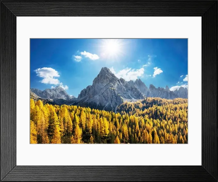 Framed Print : Incredible autumn view at Italian Dolomite Alps. Orange larches forest and foggy mountains peaks on background. Dolomites, Italy
