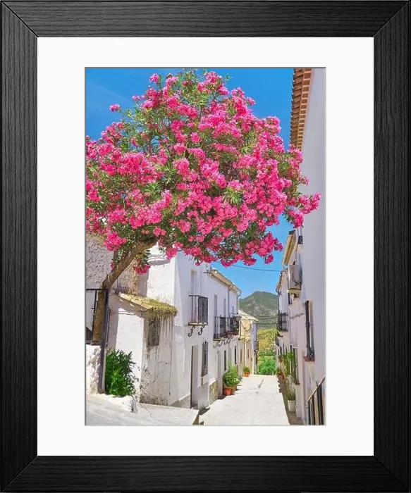 Framed Print : Blooming flowers on the street, White Village of Zahara de la Sierra, Andalusia, Spain