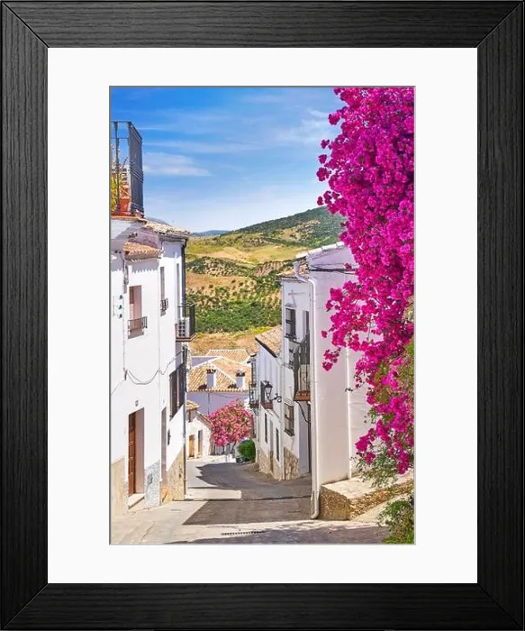 Framed Print : Blooming flowers on the street, White Village of Zahara de la Sierra, Andalusia, Spain Framed Print : Blooming flowers on the street, White Village of Zahara de la Sierra, Andalusia, Spain