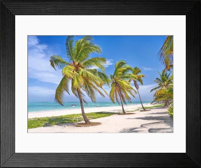 Framed Print : Beach near Pingwe, Zanzibar, Tanzania, East Africa Framed Print : Beach near Pingwe, Zanzibar, Tanzania, East Africa