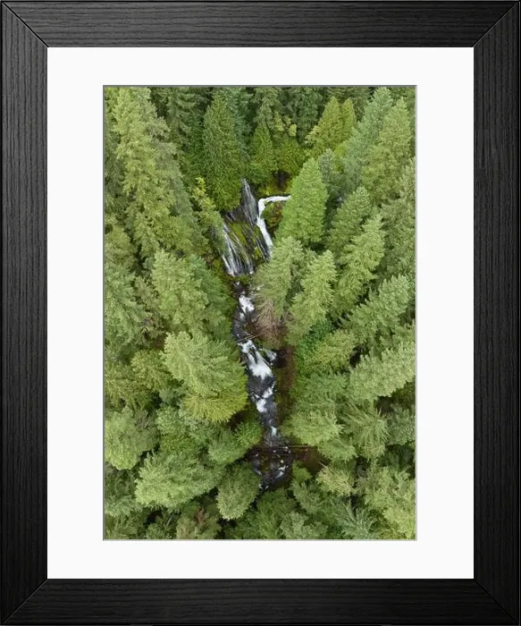 Framed Print : Seen from a bird's eye perspective, the impressive Panther Creek Falls flows through the Gifford Pinchot National Forest in Washington Framed Print : Seen from a bird's eye perspective, the impressive Panther Creek Falls flows through the Gifford Pinchot National Forest in Washington