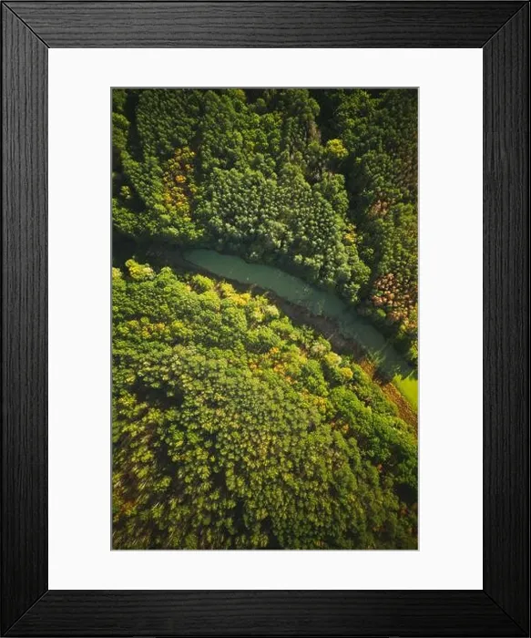 Framed Print : Aerial View Green Forest Woods And River Marsh Bog In Summer Landscape. Top View Of Beautiful European Nature From High Attitude In Summer Season. Dro Framed Print : Aerial View Green Forest Woods And River Marsh Bog In Summer Landscape. Top View Of Beautiful European Nature From High Attitude In Summer Season. Dro