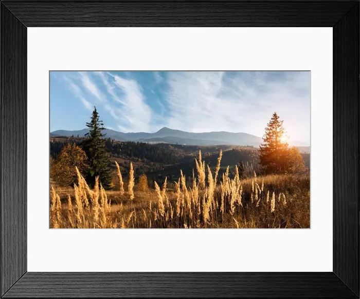 Framed Print : Amazing scene on autumn mountains. Yellow and orange trees in fantastic morning sunlight. Landscape photography Framed Print : Amazing scene on autumn mountains. Yellow and orange trees in fantastic morning sunlight. Landscape photography