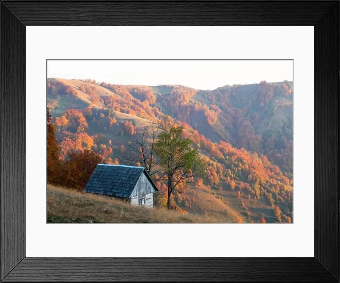 Framed Print : Highland meadow with wooden cabin and red beech trees wich covered autumn mountains. Landscape photography Framed Print : Highland meadow with wooden cabin and red beech trees wich covered autumn mountains. Landscape photography