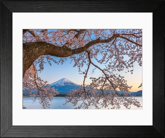 Framed Print : Kawaguchi Lake, Japan at Mt. Fuji in the evening during the spring Framed Print : Kawaguchi Lake, Japan at Mt. Fuji in the evening during the spring