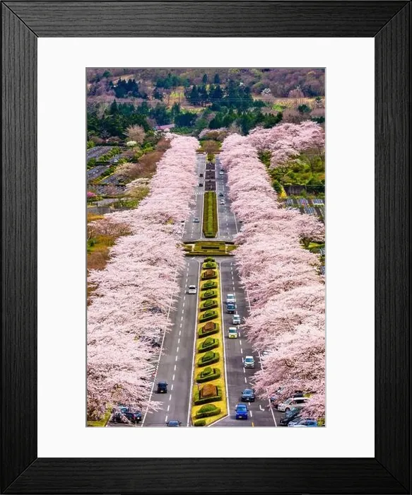 Framed Print : Fuji Reien Cemetery, Shizuoka, Japan in spring Framed Print : Fuji Reien Cemetery, Shizuoka, Japan in spring