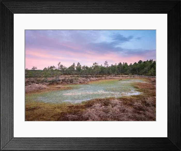 Framed Print : Scenic landscape at summer night in the swamp, National Park, Torronsuo, Finland Framed Print : Scenic landscape at summer night in the swamp, National Park, Torronsuo, Finland