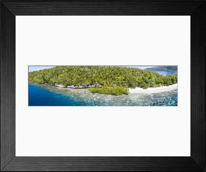 Framed Print : The many tropical islands within Raja Ampat, Indonesia, are surrounded by amazing coral reefs. This region is the center of marine biodiversity Framed Print : The many tropical islands within Raja Ampat, Indonesia, are surrounded by amazing coral reefs. This region is the center of marine biodiversity