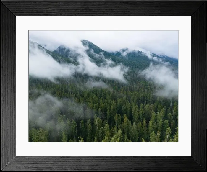 Framed Print : Clouds drift across the rugged, forested landscape in Olympic National Park. This mountainous region of western Washington is absolutely beautiful Framed Print : Clouds drift across the rugged, forested landscape in Olympic National Park. This mountainous region of western Washington is absolutely beautiful