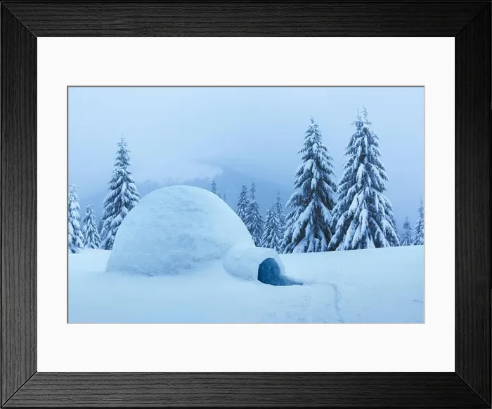 Framed Print : Real snow igloo house in the winter mountains. Snow-covered firs on the background. Foggy forest with snowy spruce Framed Print : Real snow igloo house in the winter mountains. Snow-covered firs on the background. Foggy forest with snowy spruce