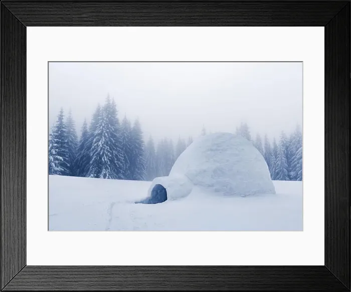 Framed Print : Real snow igloo house in the winter mountains. Snow-covered firs on the background. Foggy forest with snowy spruce Framed Print : Real snow igloo house in the winter mountains. Snow-covered firs on the background. Foggy forest with snowy spruce